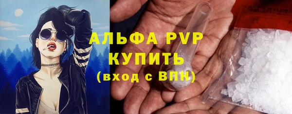 спиды Сосновка
