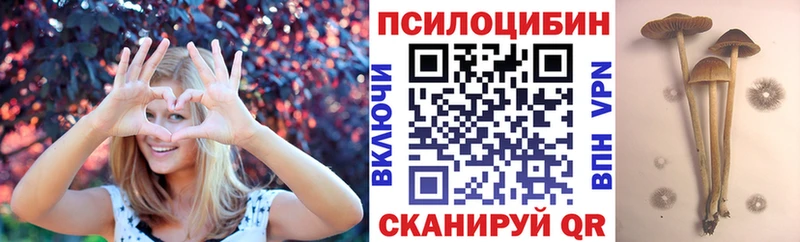 Псилоцибиновые грибы прущие грибы  Будённовск 